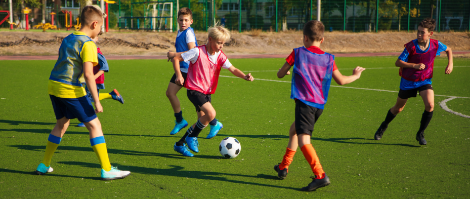 TSG Zweibrücken Archiv